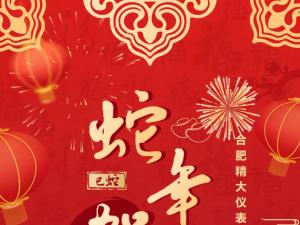合肥精大儀表2025春節(jié)表彰暨聯(lián)歡會(huì)：回顧精彩，展望