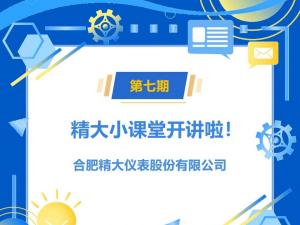 小微系列橢圓齒輪流量計(jì)簡(jiǎn)介